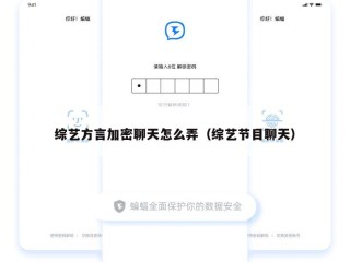 综艺方言加密聊天怎么弄（综艺节目聊天）