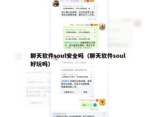 聊天软件soul安全吗（聊天软件soul好玩吗）