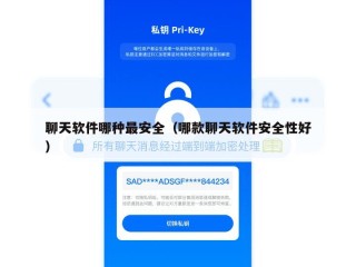 聊天软件哪种最安全（哪款聊天软件安全性好）