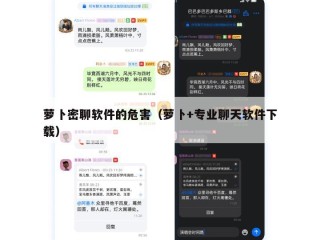 萝卜密聊软件的危害（萝卜+专业聊天软件下载）