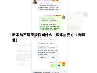 数字加密聊天软件叫什么（数字加密方式有哪些）