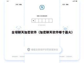 全球聊天加密软件（加密聊天软件哪个最火）