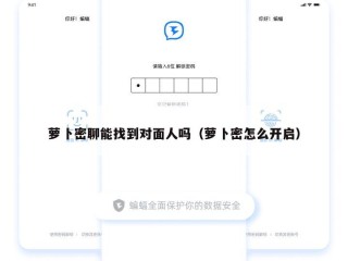 萝卜密聊能找到对面人吗（萝卜密怎么开启）