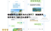 蝙蝠聊天app图片为什么发不了（蝙蝠聊天软件发不了图片怎么回事?）