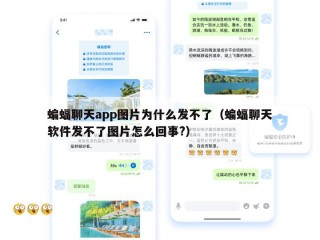 蝙蝠聊天app图片为什么发不了（蝙蝠聊天软件发不了图片怎么回事?）