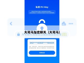 大司马加密聊天（大司马）