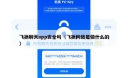 飞扬聊天app安全吗（飞扬网络是做什么的）