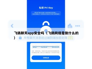 飞扬聊天app安全吗（飞扬网络是做什么的）