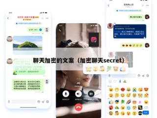 聊天加密的文案（加密聊天secret）