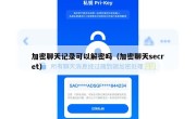 加密聊天记录可以解密吗（加密聊天secret）