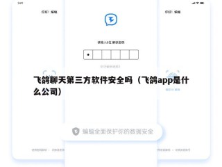 飞鸽聊天第三方软件安全吗（飞鸽app是什么公司）