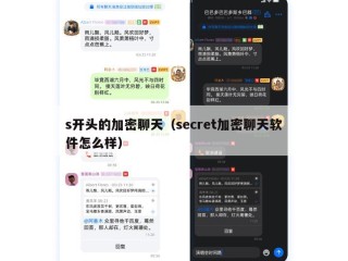s开头的加密聊天（secret加密聊天软件怎么样）