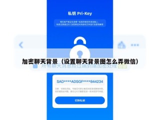 加密聊天背景（设置聊天背景图怎么弄微信）