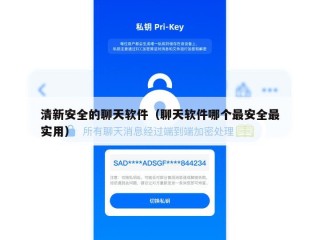 清新安全的聊天软件（聊天软件哪个最安全最实用）