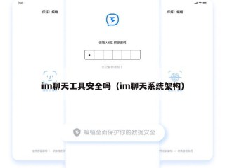 im聊天工具安全吗（im聊天系统架构）