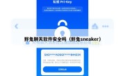 野兔聊天软件安全吗（野兔sneaker）