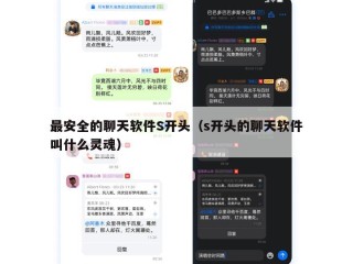 最安全的聊天软件S开头（s开头的聊天软件叫什么灵魂）