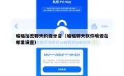 蝙蝠加密聊天的提示音（蝙蝠聊天软件暗语在哪里设置）