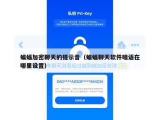 蝙蝠加密聊天的提示音（蝙蝠聊天软件暗语在哪里设置）
