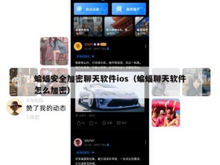 蝙蝠安全加密聊天软件ios（蝙蝠聊天软件怎么加密）