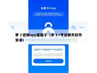 萝卜密聊app是骗子（萝卜+专业聊天软件安卓）