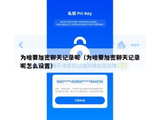 为啥要加密聊天记录呢（为啥要加密聊天记录呢怎么设置）