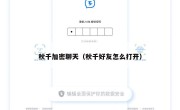 秋千加密聊天（秋千好友怎么打开）