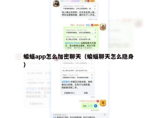 蝙蝠app怎么加密聊天（蝙蝠聊天怎么隐身）
