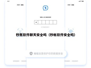 秒账软件聊天安全吗（秒帐软件安全吗）