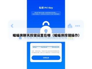 蝙蝠侠聊天按键设置在哪（蝙蝠侠按键操作）