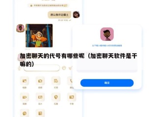加密聊天的代号有哪些呢（加密聊天软件是干嘛的）