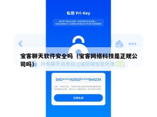 宝客聊天软件安全吗（宝客网络科技是正规公司吗）