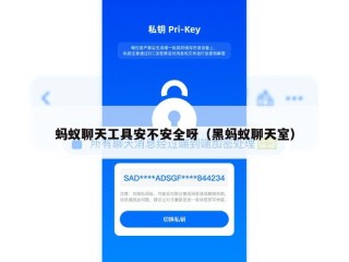 蚂蚁聊天工具安不安全呀（黑蚂蚁聊天室）