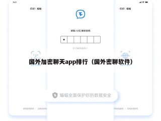 国外加密聊天app排行（国外密聊软件）