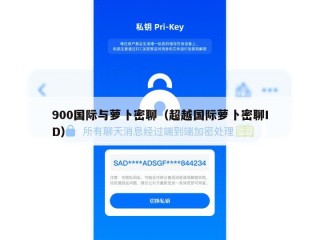 900国际与萝卜密聊（超越国际萝卜密聊ID）