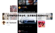 左然聊天软件安全吗（左然看的恋爱书叫什么）