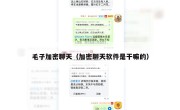 毛子加密聊天（加密聊天软件是干嘛的）