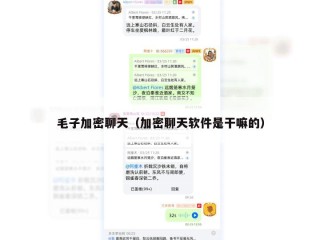 毛子加密聊天（加密聊天软件是干嘛的）