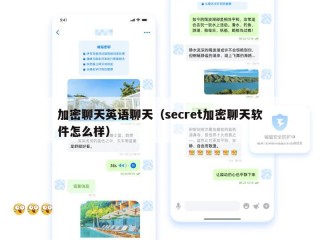 加密聊天英语聊天（secret加密聊天软件怎么样）
