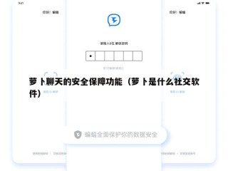 萝卜聊天的安全保障功能（萝卜是什么社交软件）