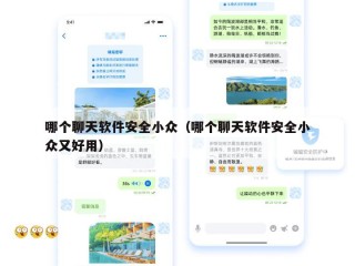 哪个聊天软件安全小众（哪个聊天软件安全小众又好用）