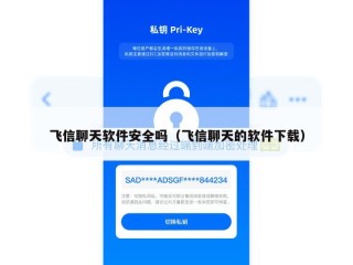 飞信聊天软件安全吗（飞信聊天的软件下载）