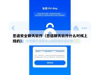 思语安全聊天软件（思语聊天软件什么时候上线的）
