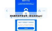 绿毛聊天软件安全吗（绿毛资讯bgm）