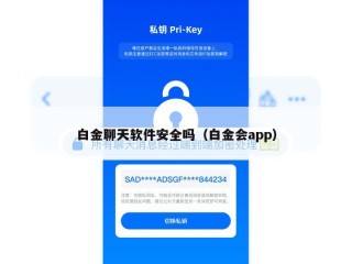 白金聊天软件安全吗（白金会app）