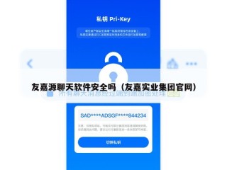 友嘉源聊天软件安全吗（友嘉实业集团官网）