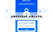 BF聊天软件安全吗（bf是什么平台）