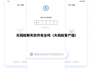 大蚂蚁聊天软件安全吗（大蚂蚁客户端）