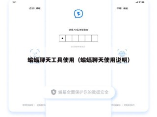 蝙蝠聊天工具使用（蝙蝠聊天使用说明）