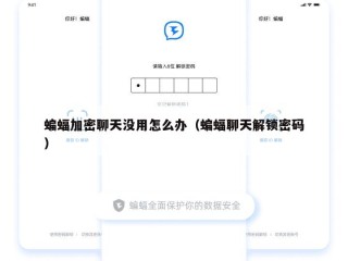 蝙蝠加密聊天没用怎么办（蝙蝠聊天解锁密码）